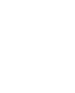 Vector
