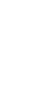 Vector